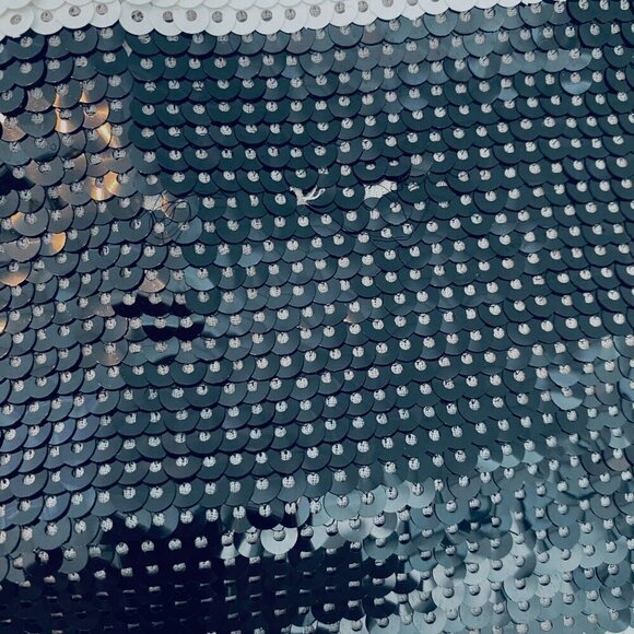 Kate Spade sequins pencil skirt Womens Size 2 black white stripe party evening - Picture 12 of 12